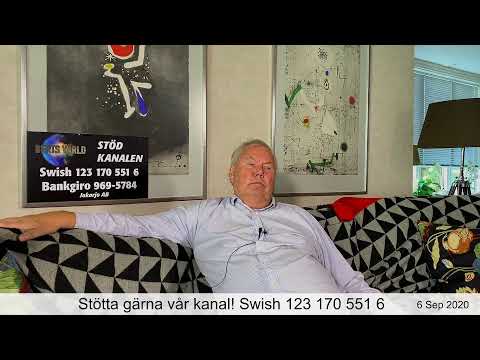 Bert - När vaknar svensken, eller Sverige?