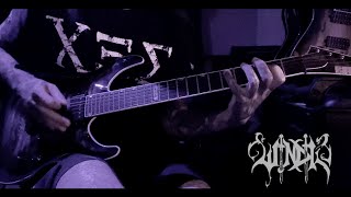 Windir - Fagning (Guitar Cover)