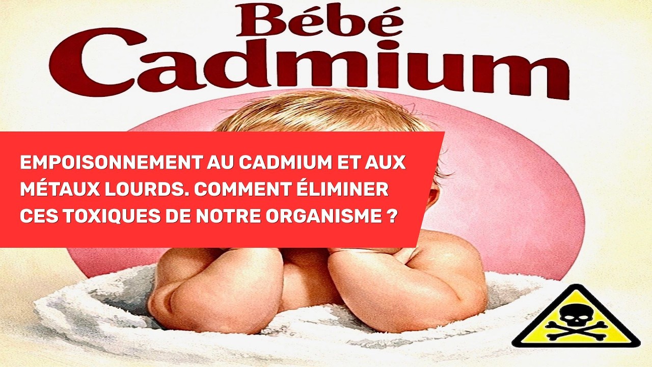 Miniature vidéo : Empoisonnement au cadmium et aux métaux lourds — comment éliminer ces toxiques de notre organisme