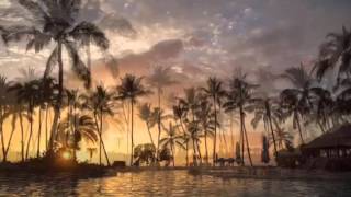 Fortune- Perfect timing