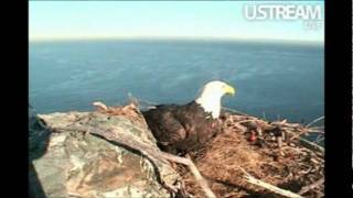 Just Crying , Waiting and Hopeing