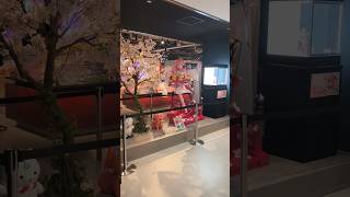 京都IP書店さくらみこPOPUPSHOP14#VTuber#バーチャルYouTuber#ホロライブ#hololive#さくらみこ#可愛い#かわいい#推し#推し活#女の子#美少女#京都#漫画#アニメ#愛