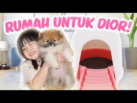 YUKA-CHAN BELI RUMAH UNTUK ANJING KESAYANGAN! | vlog