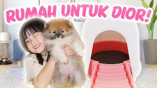 Download lagu YUKA-CHAN BELI RUMAH UNTUK ANJING KESAYANGAN! | vlog mp3