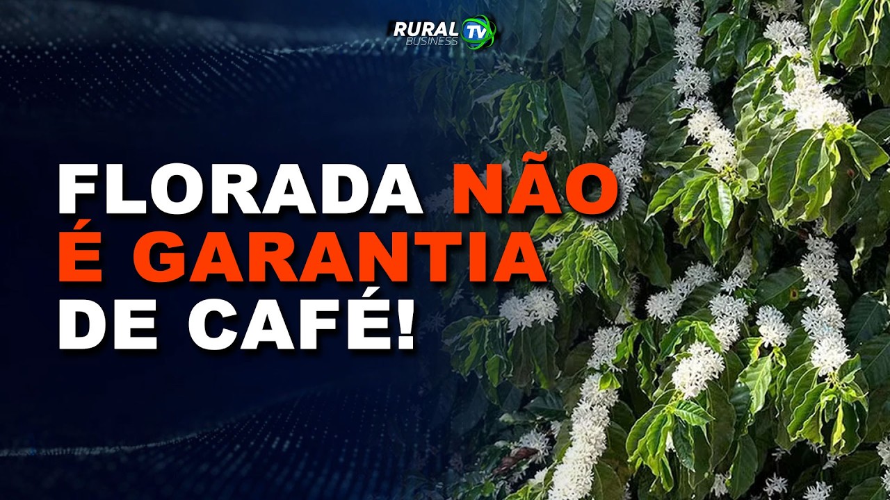 FLORADA NÃO É GARANTIA DE CAFÉ!