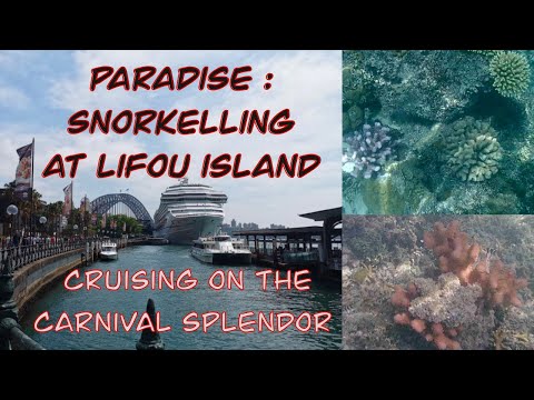 Thumbnail for Paradise! Snorkelling the crystal blue waters of Lifou Island on a Carnival Splendor cruise.
