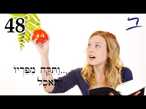 Hebrew - 40 Days & 40 Nights - Biblical Hebrew - Lesson 48