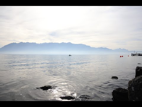 Peaceful Piano Background Music - Improvisation #217 by Ilia Chkolnik ©