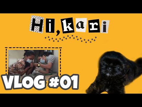 FIVE DAYS WITH OUR SHIHTZU, NAGKAPARVO AGAD? | VLOG #1 | HI, KARI