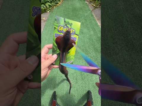 This boy showed a trick by filling a toy snake with water.
