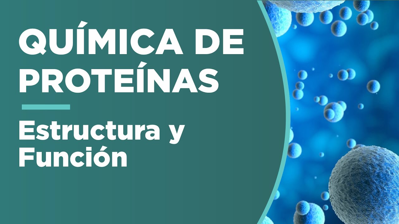 Estructura y función de PROTEÍNAS | Química