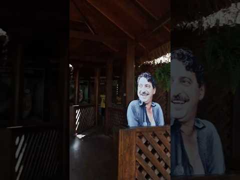 Parque Chico Mendes Acre Rio Branco #vemcomadonnamaria #shorts