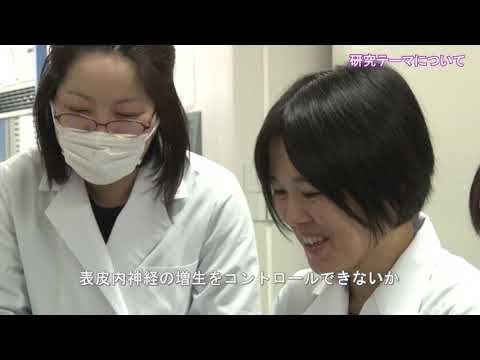 医学科 【順天堂大学】動画2019：鎌田弥生先生（順天堂かゆみ研究センター）〔2020.6.1再掲〕