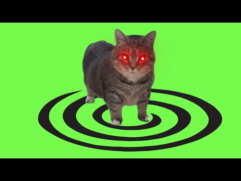 🔴 OiiA OiiA (Spinning Cat) Hard Techno, Schranz Remix – OR3H1N & DJ Troll