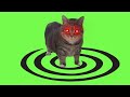 🔴 OiiA OiiA (Spinning Cat) Hard Techno, Schranz Remix – OR3H1N & DJ Troll
