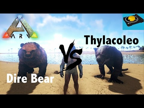 ARK INSIGHT!!! -- Direbear V.S Thylacoleo