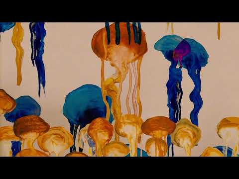 The Smile -  Free in the Knowledge