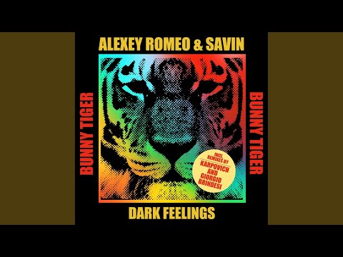 Dark Feelings (Giorgio Brindesi Remix)