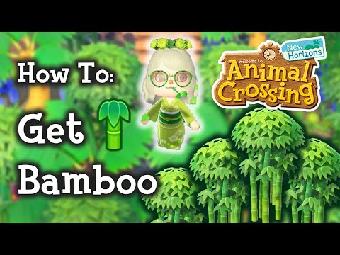 Bamboo Forest Acnh