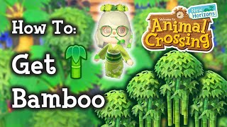 🎋 Animal Crossing New Horizons How To Get Bamboo Trees