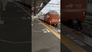 ぴんぴんはかないも #273系 #やくも #倉敷駅 #伯備線
