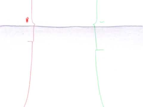 水尻自子「ア シー ダズント テル マッチ」(2008)