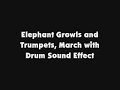 Elephant Growls And Trumpets March With Drum SFX