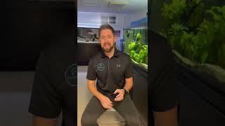 How to Fix a Smelly Aquarium