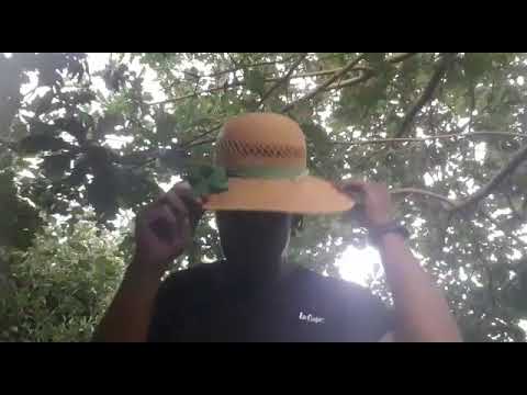 SHE LIKES IT ## BY OVA CONFIDENT ## .