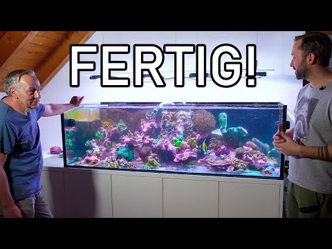 Lisas 1000l Riff wird NEU Aufgebaut!