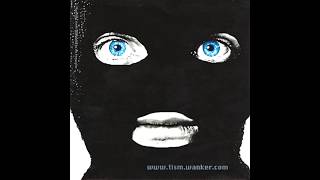 Greg The Stop Sign - TISM - With Lyrics