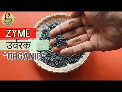 What is organic zyme fertilizer for plants and zyme