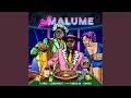 Saka Malume (feat. Tumelo_za, Sayfar) (Radio Edit)