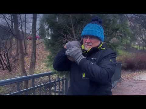 Cezary Makiewicz – Deszczowa choinka