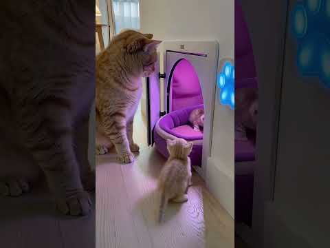 inteligência artificial