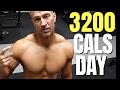 How Many Calories Per Day | MUSCLE UP FAT DOWN