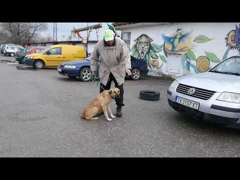 Rabea zeigt sich als sehr menschenbezogen 240313