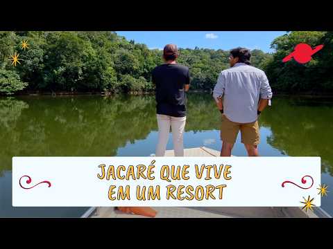 Conheça o jacaré que vive em um resort no Amazonas #parte3