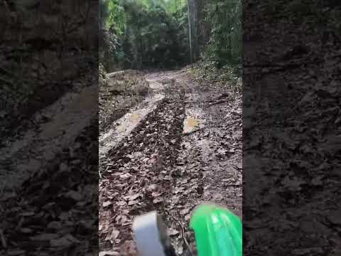 da seu laik pecuso tinha bogaço de Goianésia do Pará Pedro mídia mostrando pecuso2026