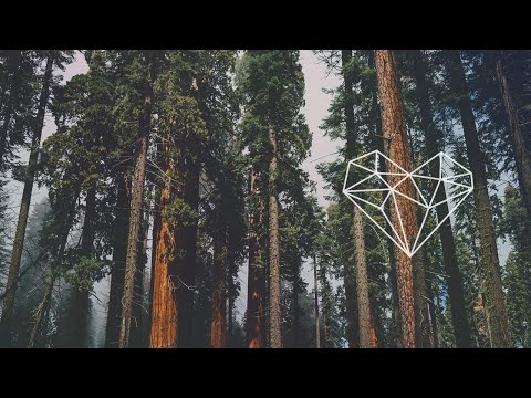 Kostakis - The Taking (Monkey Safari Remix) [Melodic House /Get Physical]