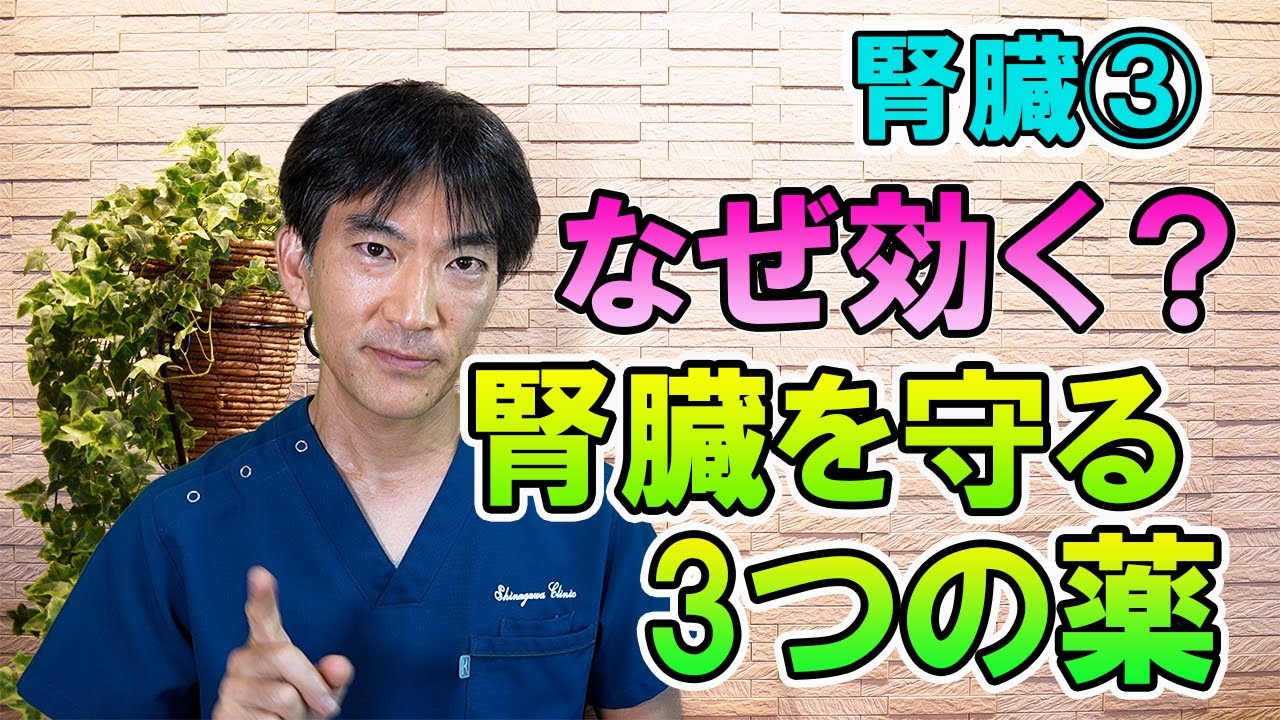 なぜ効く？腎臓を守る3つの薬