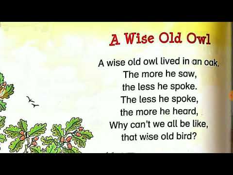 A Wise Old Owl Rhyme | English rhymes | A Wise Old Owl poem for LKG / UKG kids | Kids UKG Poem LKG