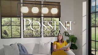 1_Watch A Video About the Possini Euro Carlyn Black and Gold 4 Light Island Pendant