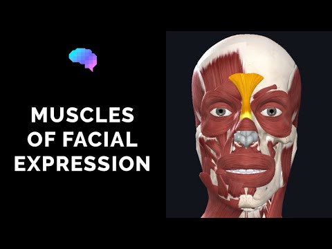 Muscles of Facial Expression (3D Anatomy Tutorial) | UKMLA | CPSA | PLAB 2