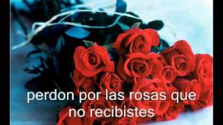 24 horas david bisbal (version balada).wmv