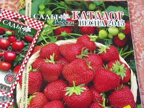 Сады России Семена Где Купить