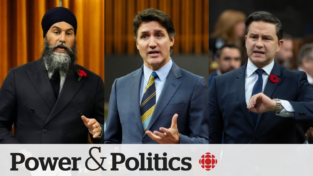 Where do federal parties stand at the halfway point of summer? | Political Pulse Panel