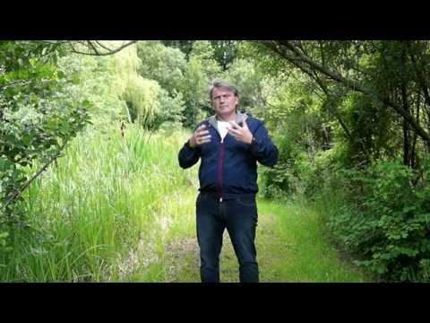 Therapeutische Nahrung Gelenke Ð ° Ñ € € Ð¾Ñ Ñ, Ñ ÐºÐ¾Ð¿Ð¸Ñ ÐºÐ¾Ð »Ðμнного Ñ ÑƒÑ Ñ, Ð ° вР° Ñ € моÑ, Ñ ÐμÑ, Noe