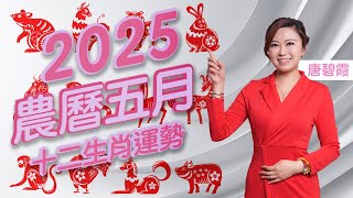 十二生肖農曆五月運勢 | 屬X的朋友今個月有天喜桃花 有利人際關係 | 屬X的朋友今個月是[午午自刑]的月份 要拒絕所有借貸或擔保要求 | 屬X的朋友今個月財運或桃花運待別旺 好好把握合適投資理財機會