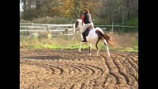 Weapons Lethal Arrival